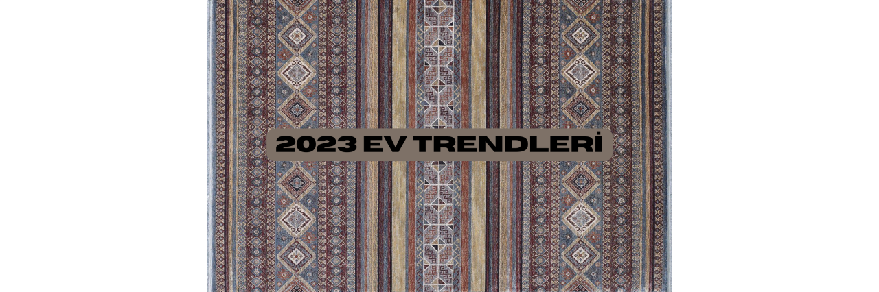 2023 Ev Trendleri